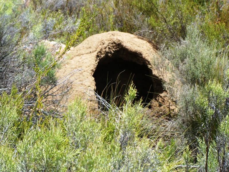 0 Bedroom Property for Sale in Laingsburg Western Cape